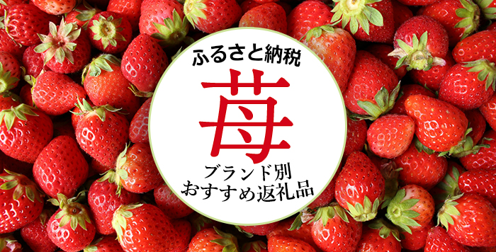 21年 ブランド別 国産高級イチゴのおすすめ返礼品 高還元率 かんたんふるさと納税