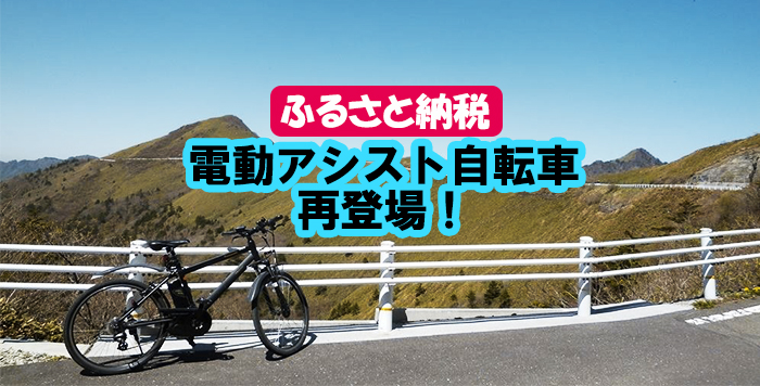 最大58%OFFクーポン ふるなび ふるさと納税 子育て世帯の必需品電動アシスト自転車 チャイルドシートセット 愛知県名古屋市 