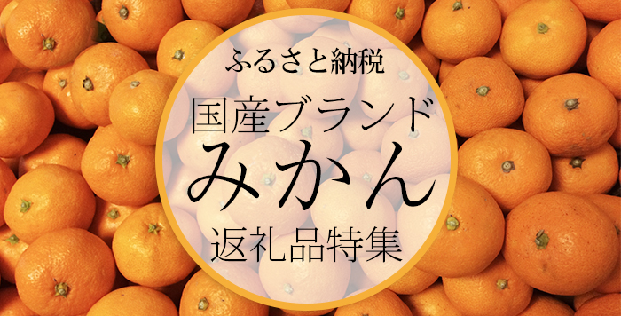 85499円 買得 厳選 季節の柑橘定期便 5kg